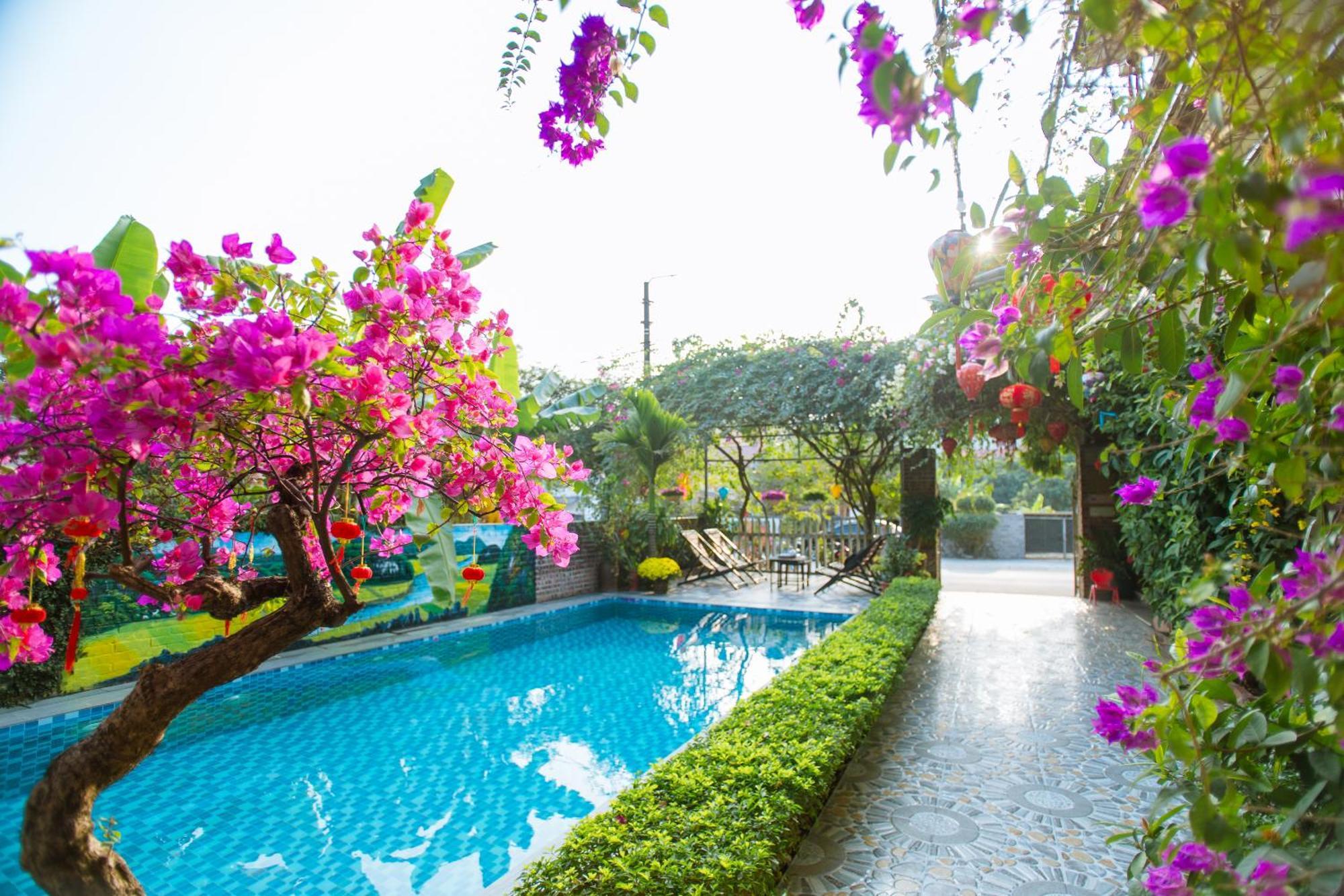 Tam Coc Viet Ha Homestay Ninh Binh Eksteriør bilde