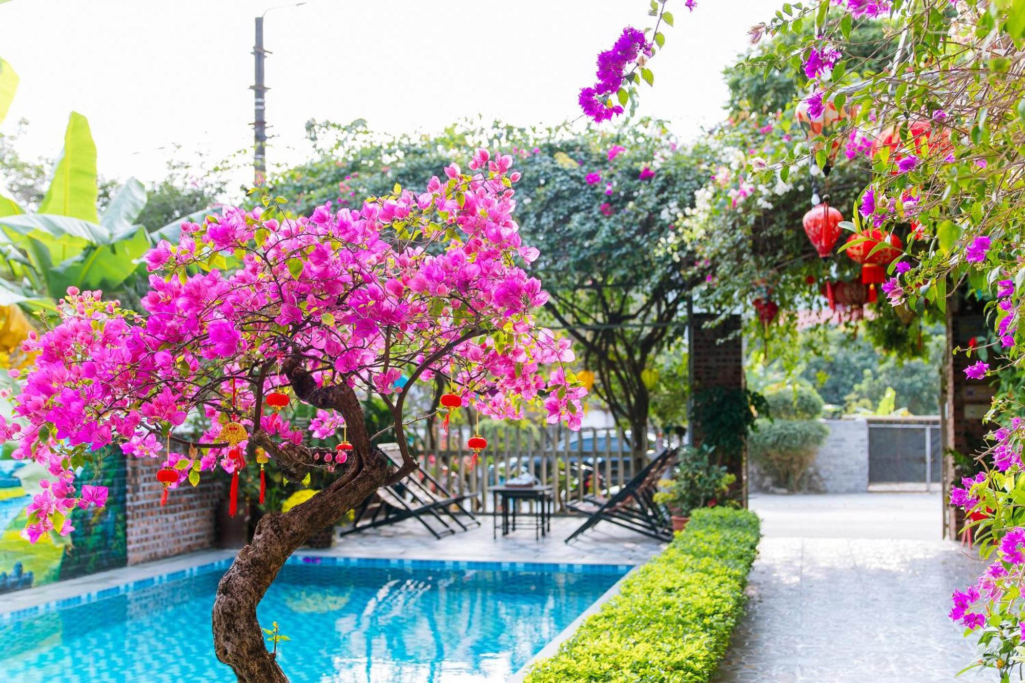 Tam Coc Viet Ha Homestay Ninh Binh Eksteriør bilde